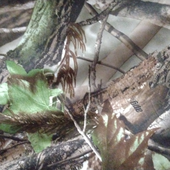 Bass Pro Shops Camouflage Bathing Trunks - Picture 7 of 13